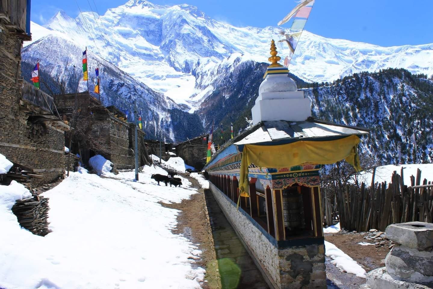 White stupa with prayer flags in a snowy Himalayan village